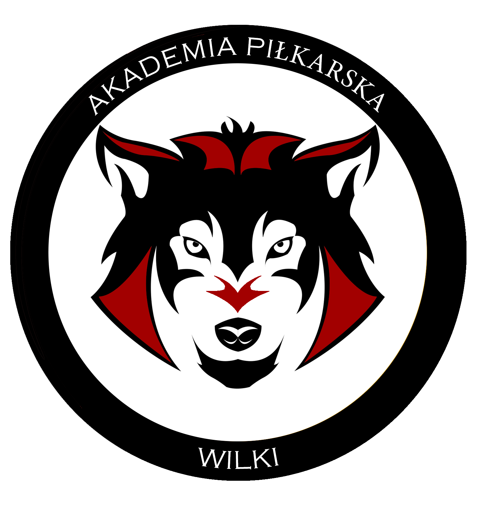 Akademia Piłkarska Wilki Warszawa - zdjęcie 10