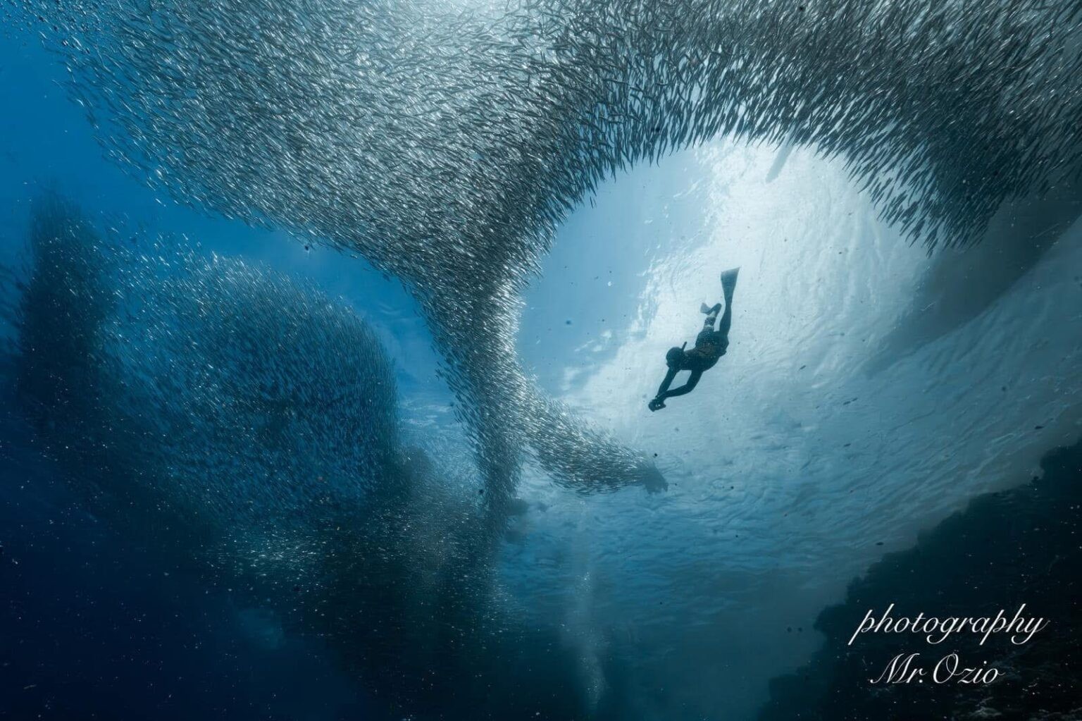 Centrum Niezwykłych Nurkowań KROKODYLE