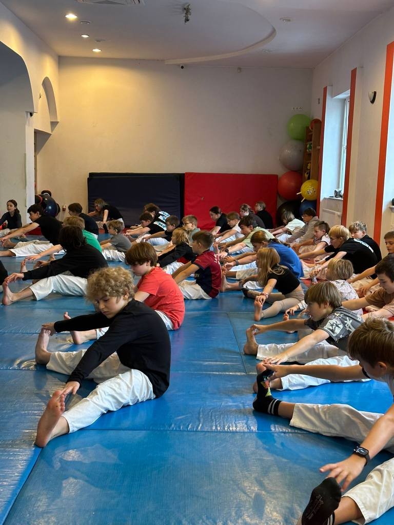Zanshin Dojo Elbląg – Aikido dla dzieci, młodzieży i dorosłych - zdjęcie 7