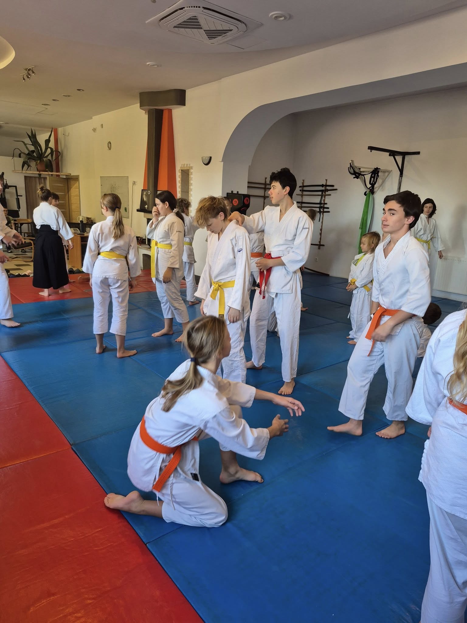 Zanshin Dojo Elbląg – Aikido dla dzieci, młodzieży i dorosłych - zdjęcie 2
