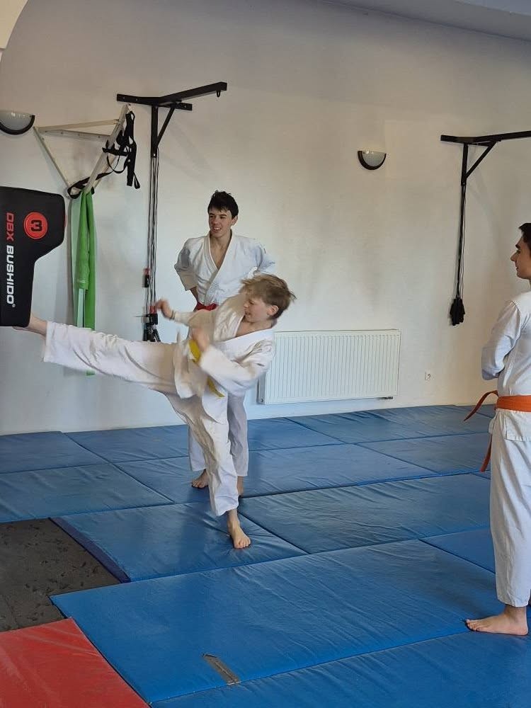 Zanshin Dojo Elbląg – Aikido dla dzieci, młodzieży i dorosłych - zdjęcie 5