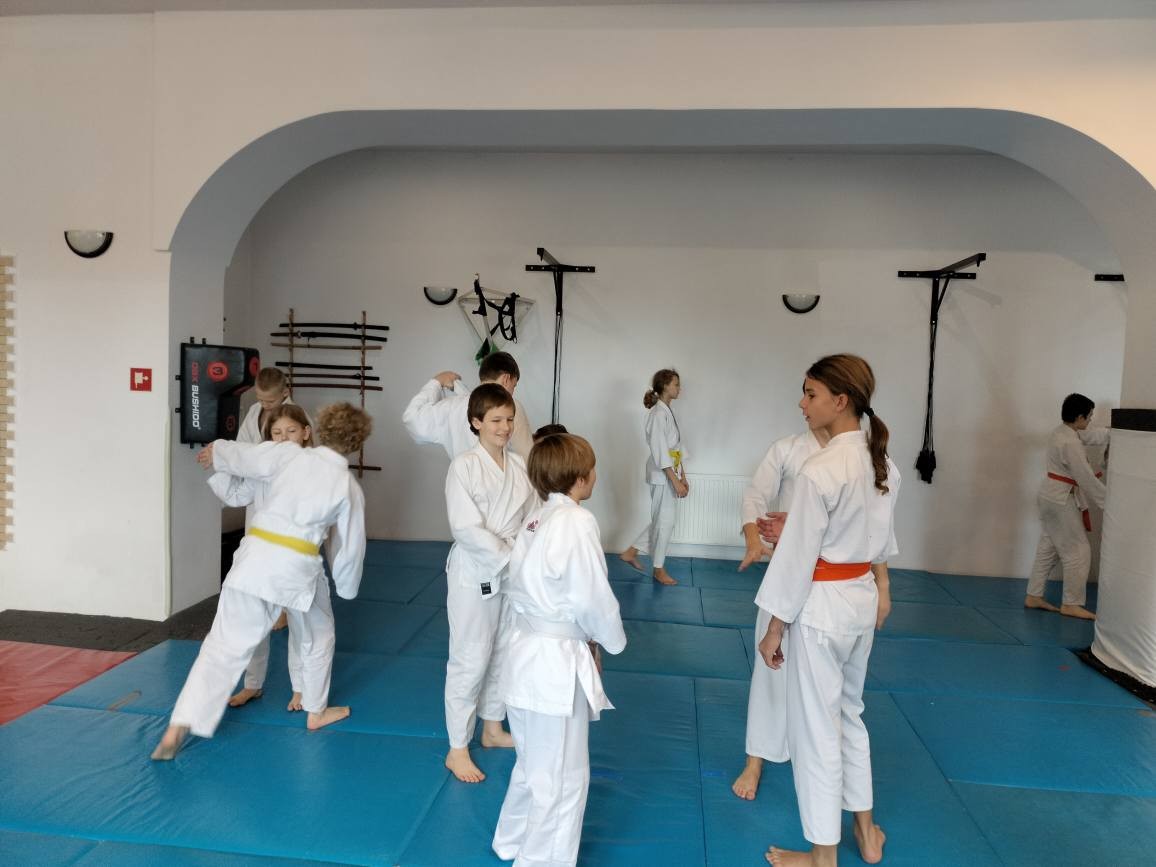 Zanshin Dojo Elbląg – Aikido dla dzieci, młodzieży i dorosłych - zdjęcie 6