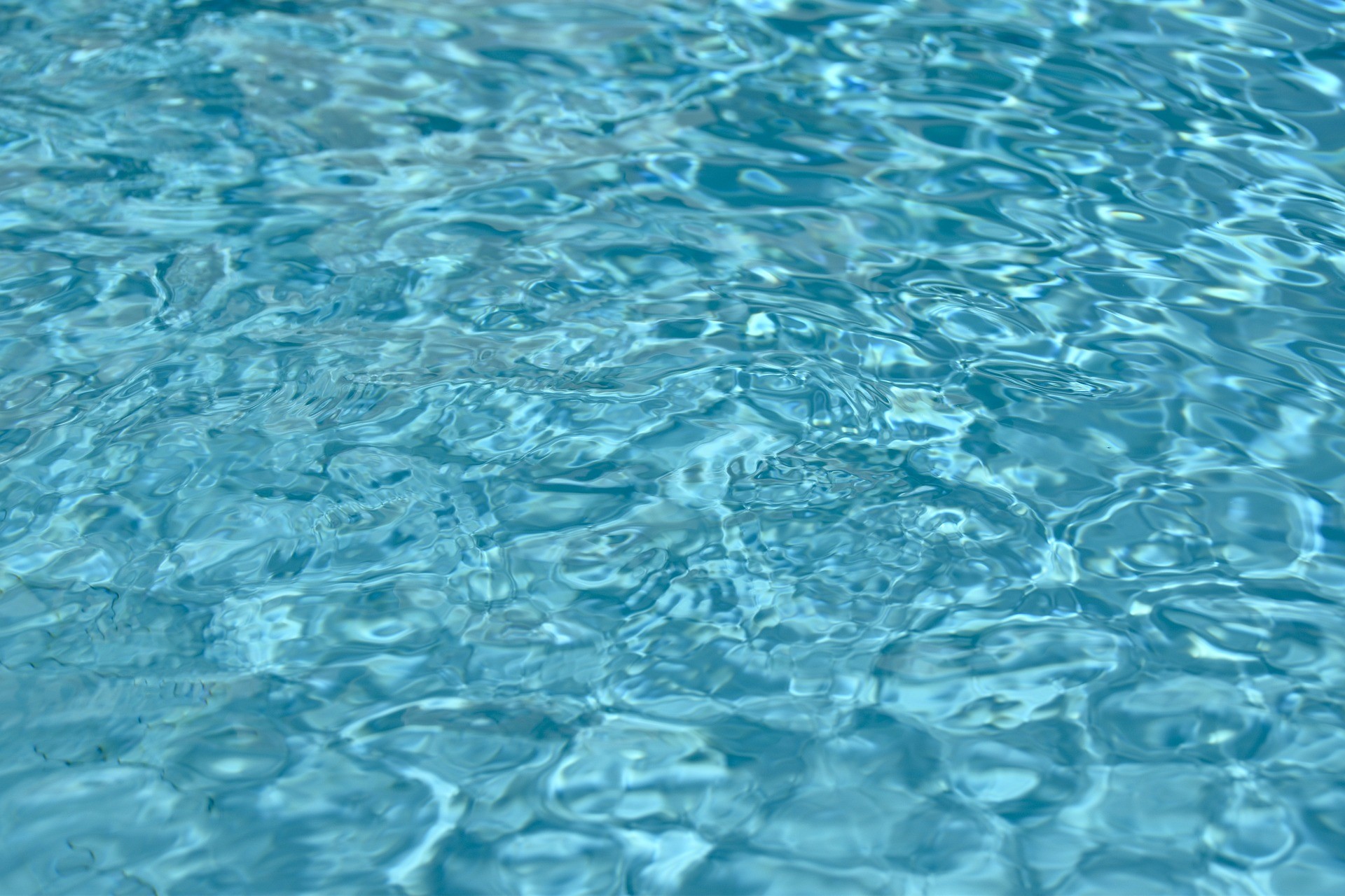 Swim-Sport - Nauka i doskonalenie pływania w Krakowie - zdjęcie 2