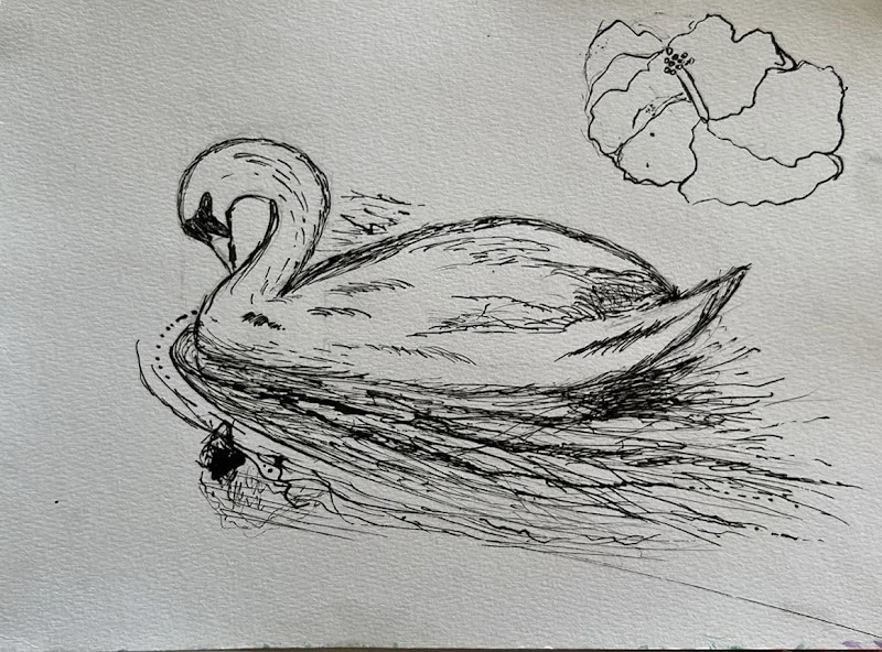 Pracownia Kolor Szkoła rysunku i malarstwa - kurs malarstwa Kraków - nauka rysunku