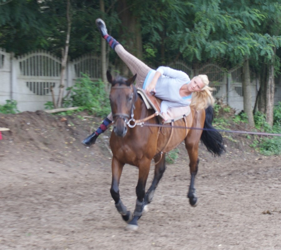 Klub Jeździecki Pony - zdjęcie 4