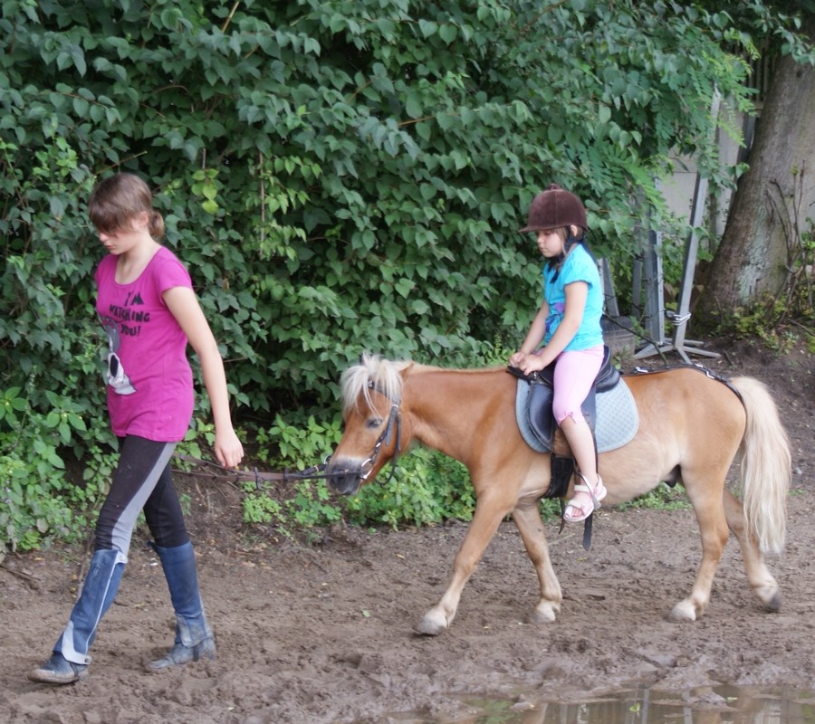 Klub Jeździecki Pony - zdjęcie 3