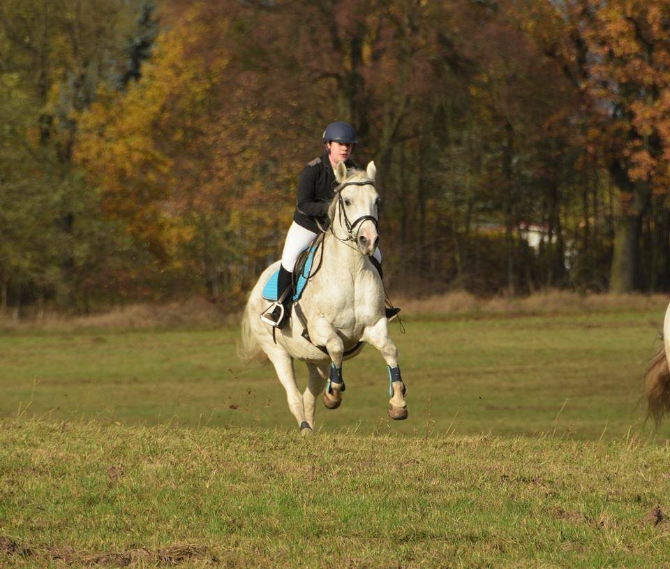 Klub Jeździecki Pony - zdjęcie 5