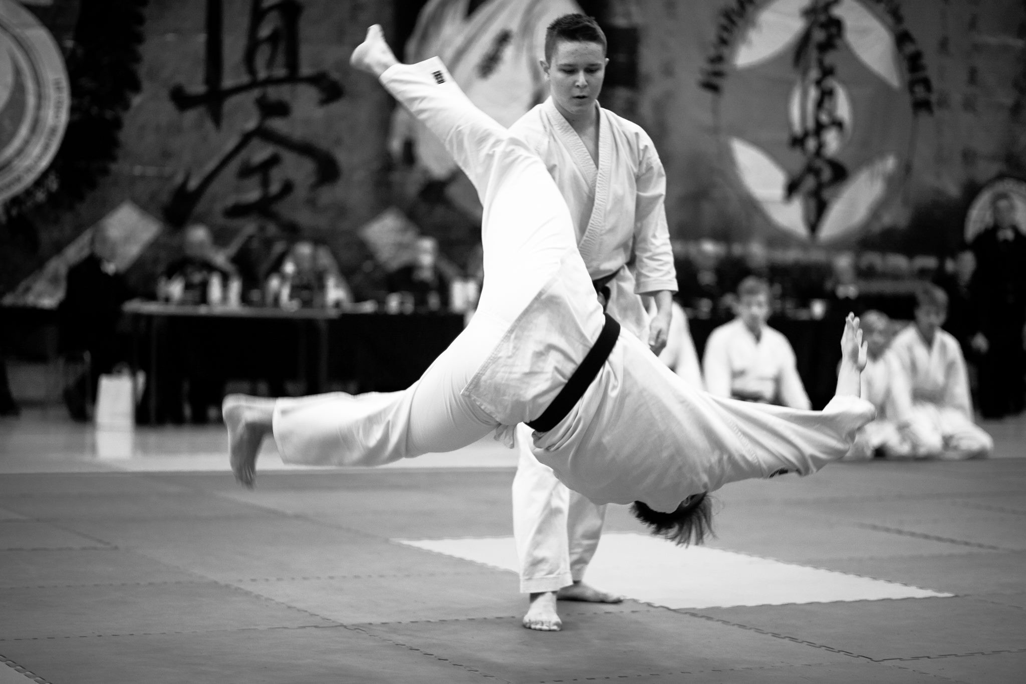 Autonomiczna Akademia Aikido - Jacek Wysocki 8 DAN - zdjęcie 2