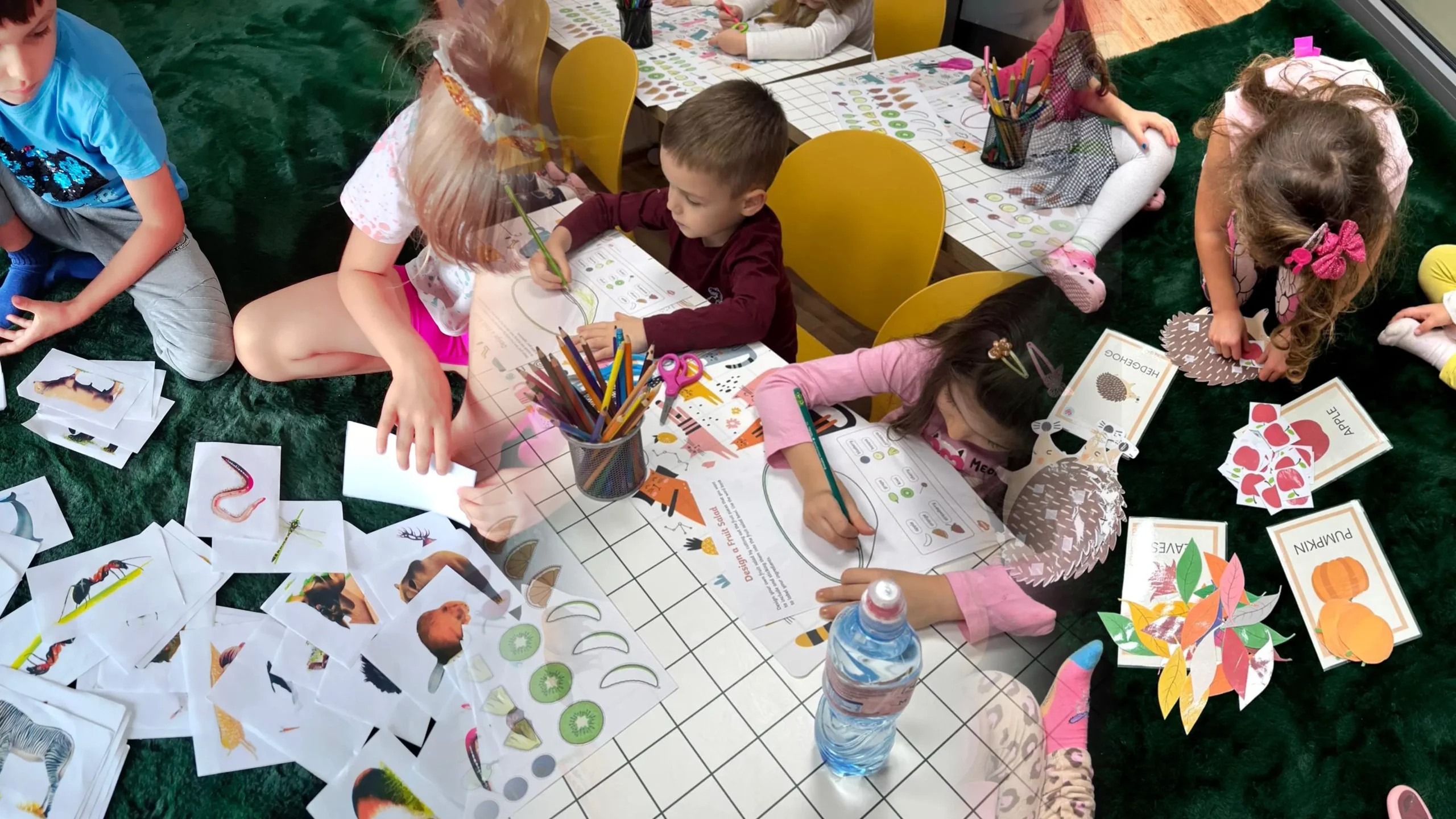 Hop Do Przodu - Centrum Wspierania Edukacji i Rozwoju