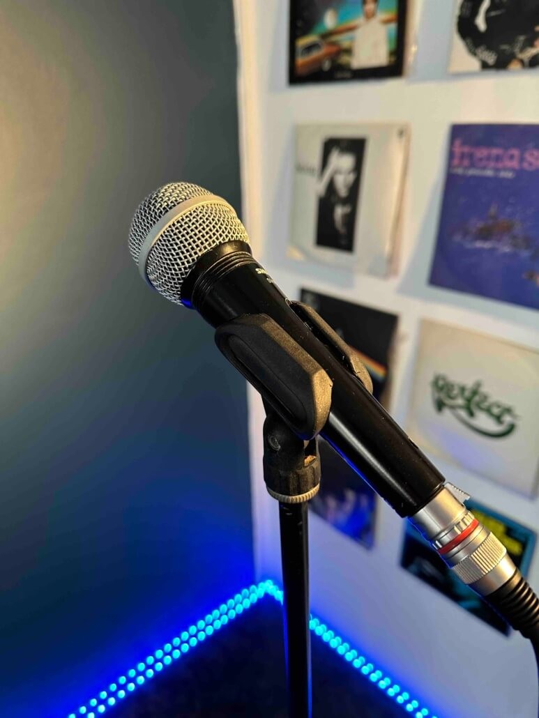 Stage Voice - Lekcje śpiewu