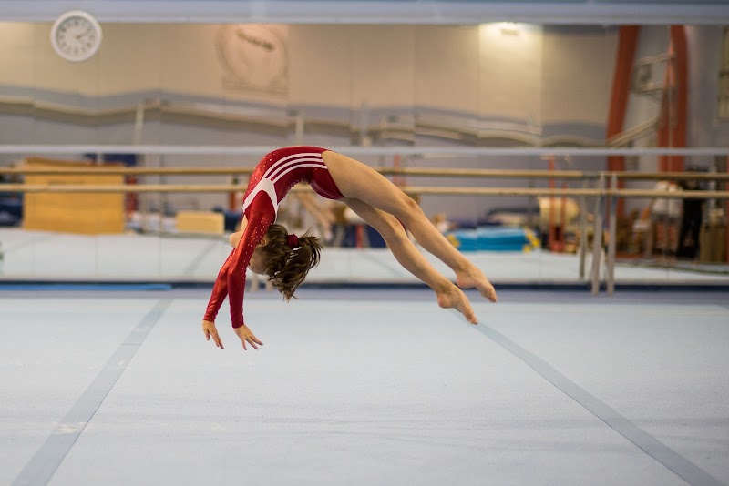 GimSport Beata Lewalska, Jerzy Lewalski s.c.