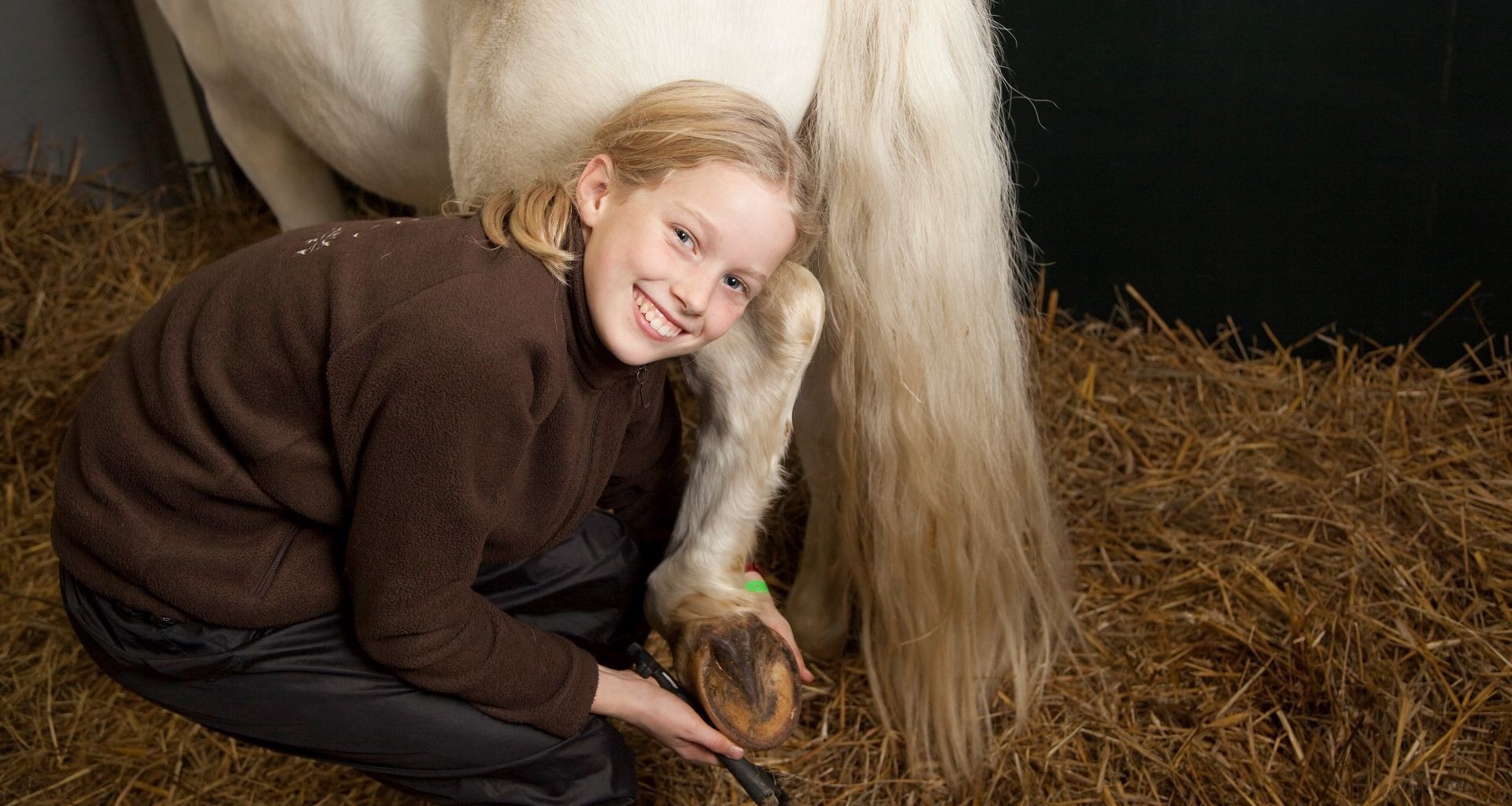 Szkolny Klub Jeździecki Poland Park