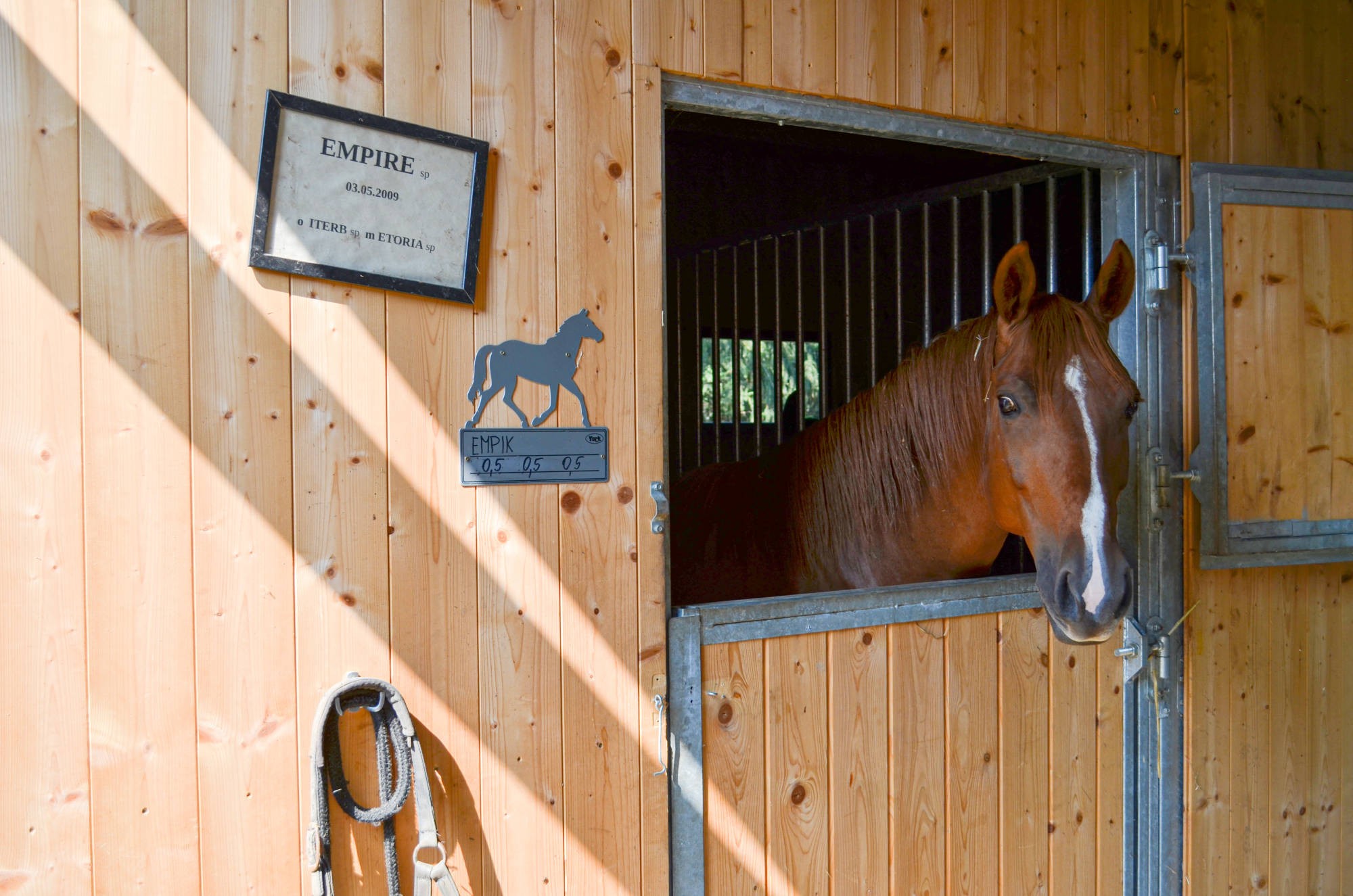 Ośrodek Jeździecki Cheval - zdjęcie 4
