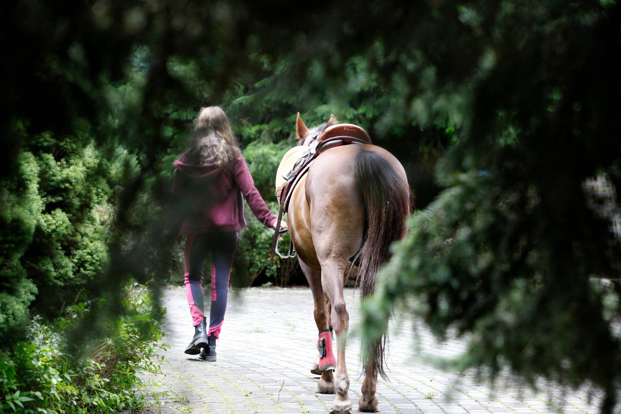 Ośrodek Jeździecki Cheval
