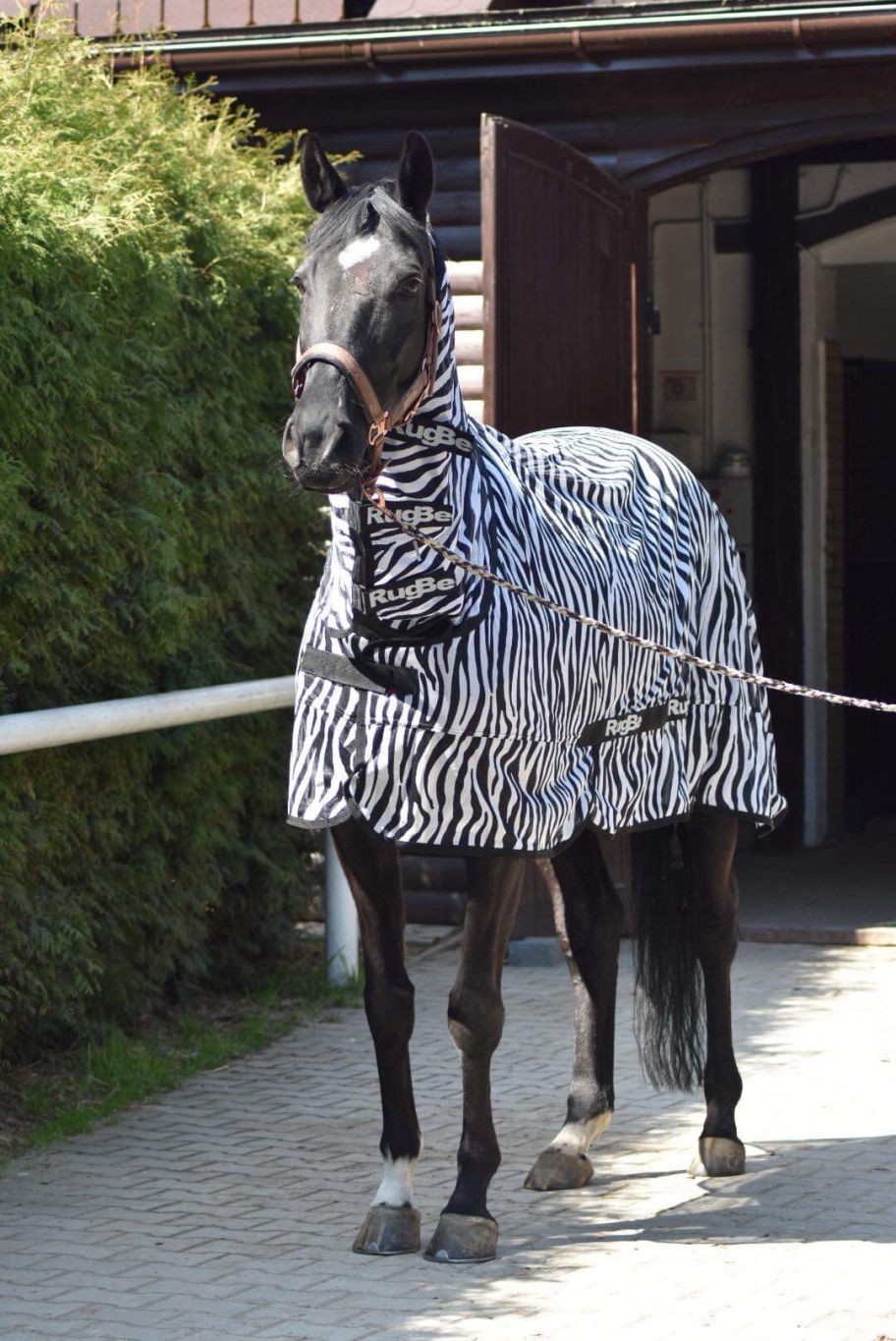 Ośrodek Jeździecki Cheval - zdjęcie 9