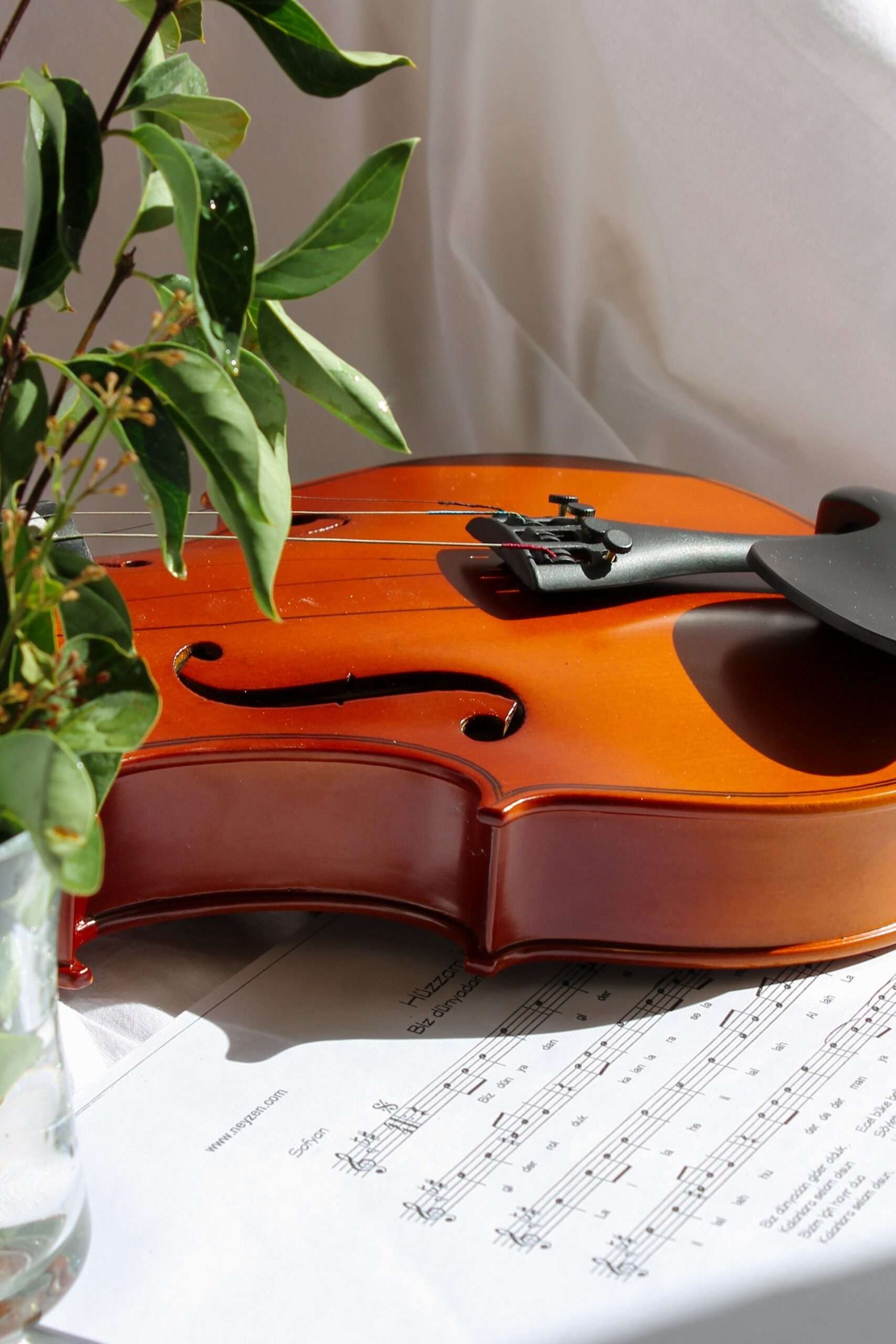ViolinSchool - Nauka gry na skrzypcach - zdjęcie 3