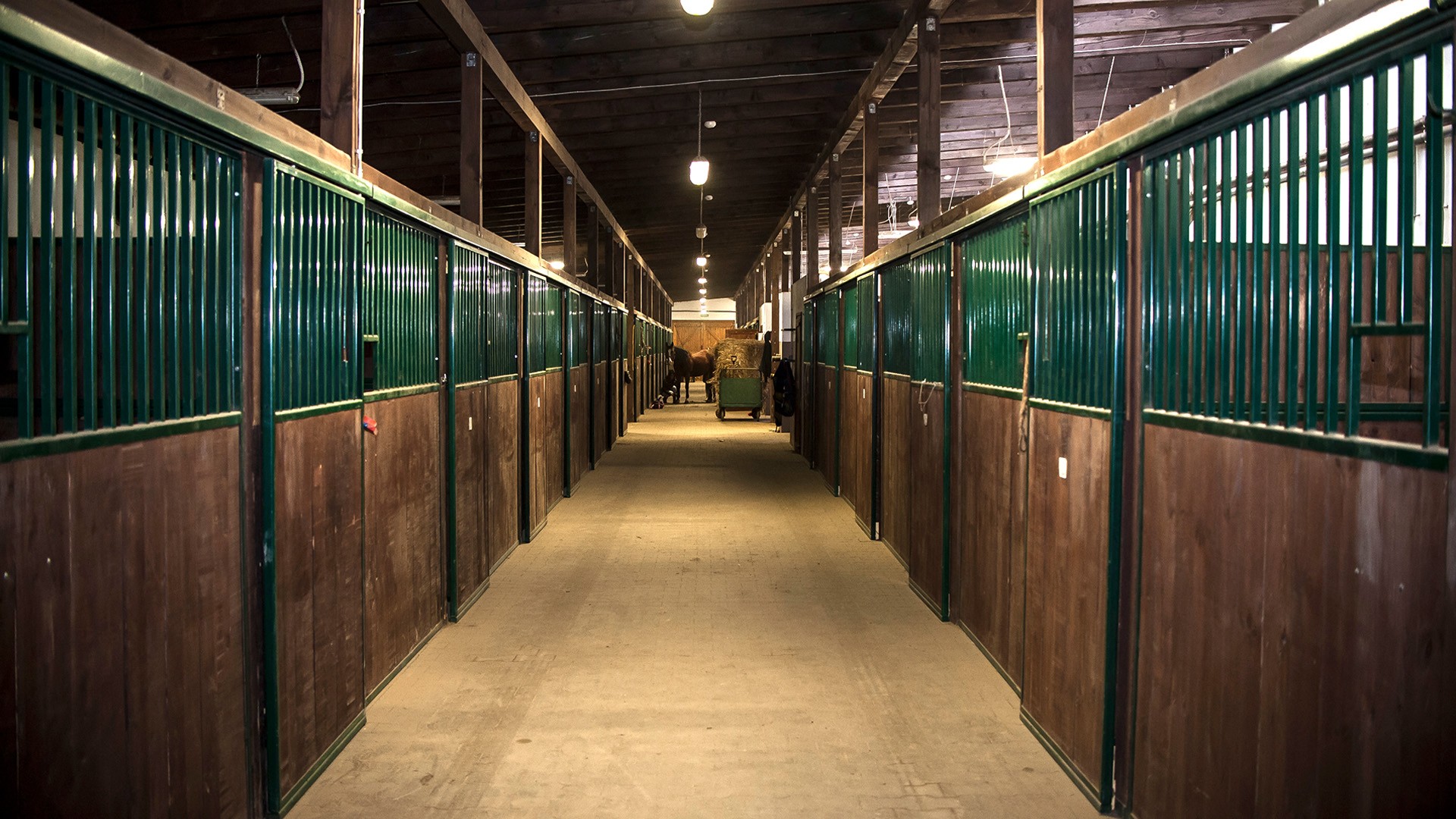 Szkoła jazdy konnej Campoverde