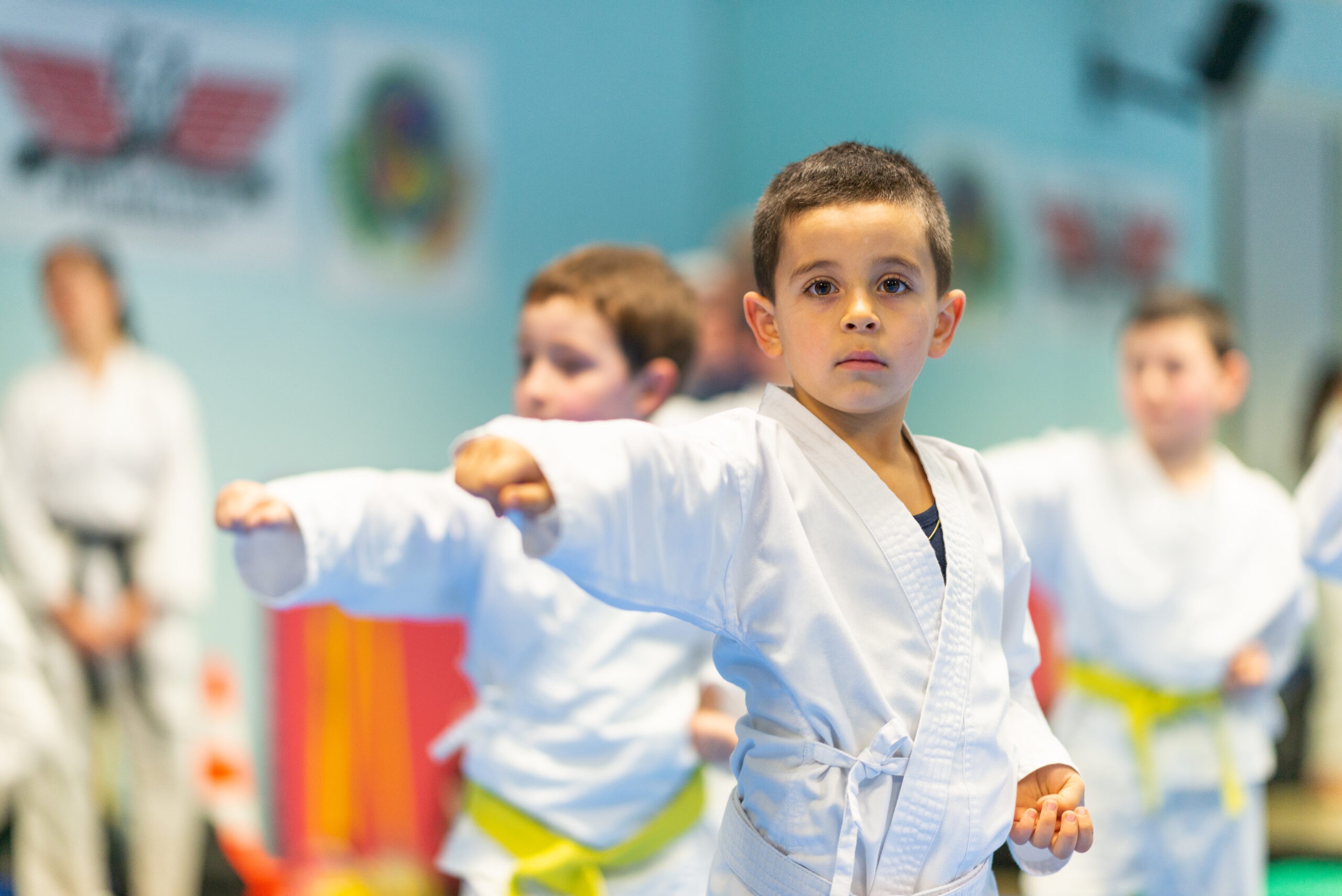 FRELICH AKADEMIA KARATE OKINAWA SHORINRYU - zdjęcie 2