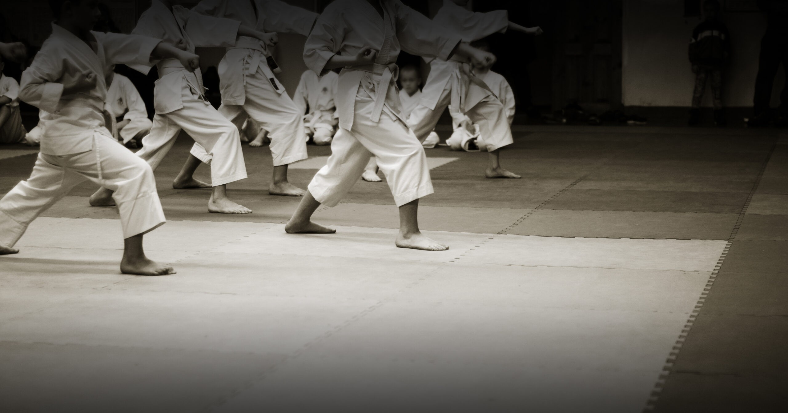 FRELICH AKADEMIA KARATE OKINAWA SHORINRYU - zdjęcie 4