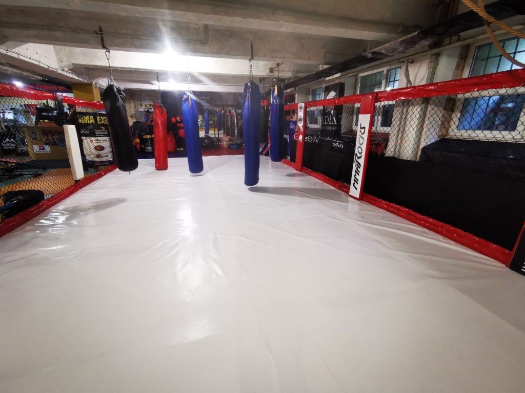 Klub Sportów Walki Spartakus Rzeszów - zdjęcie 2