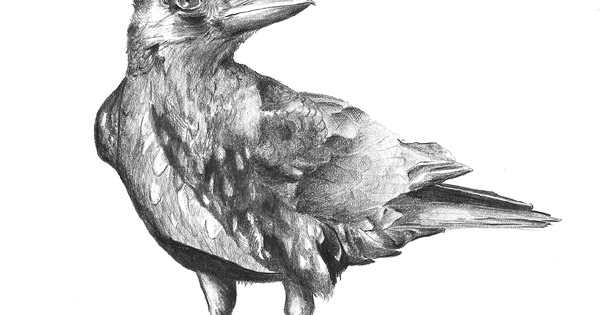 Lekcje rysunku i malarstwa