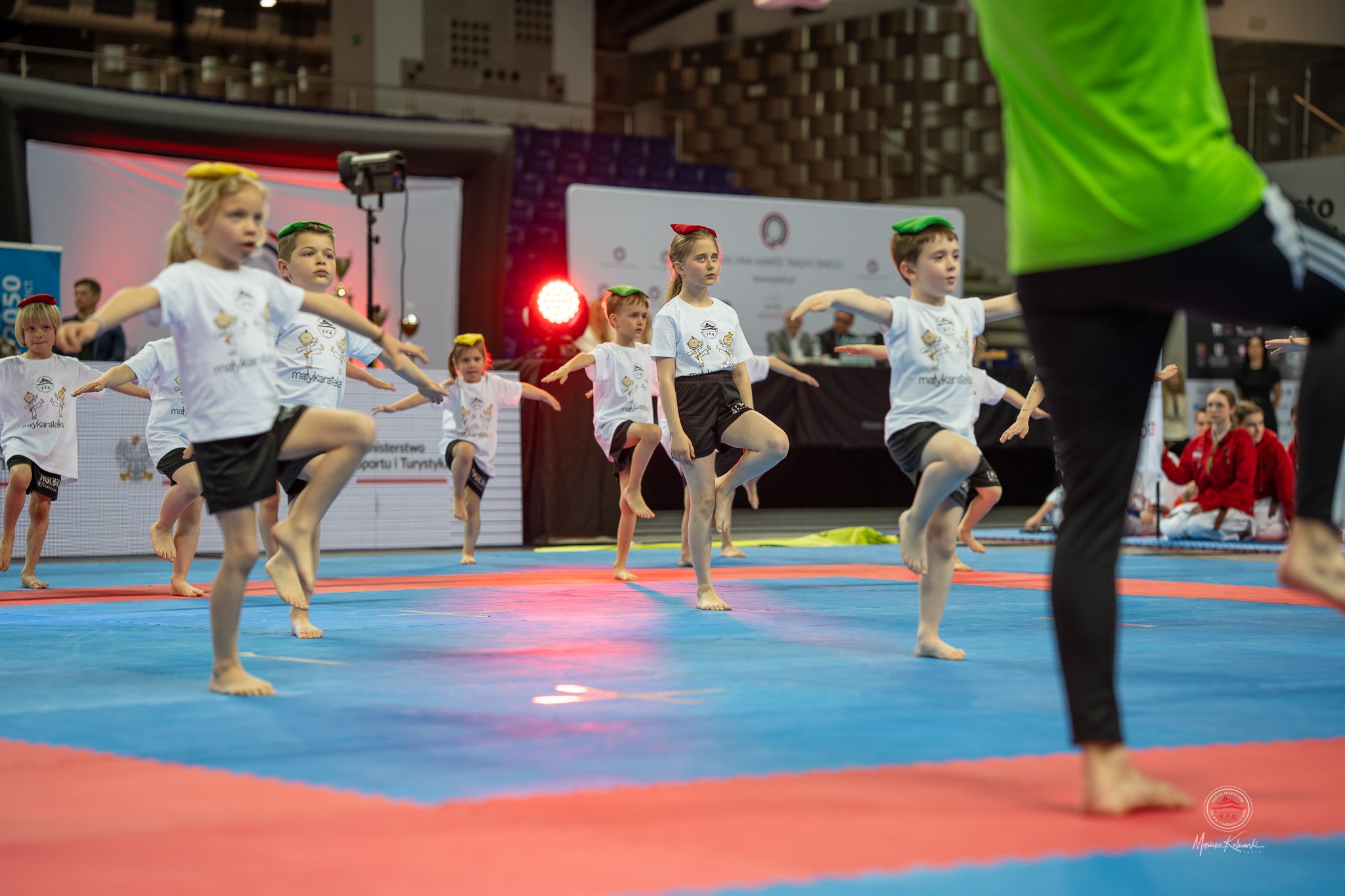Mały Karateka - zdjęcie 3