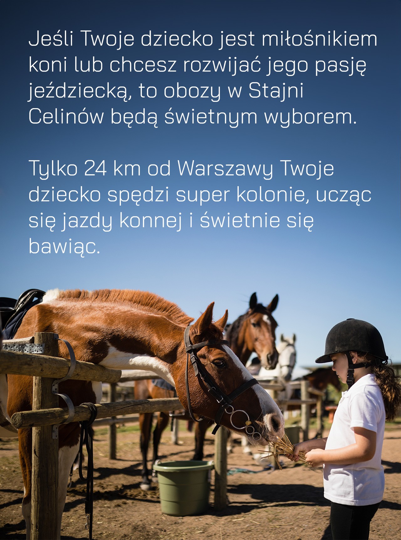 Stajnia Celinów - zdjęcie 5