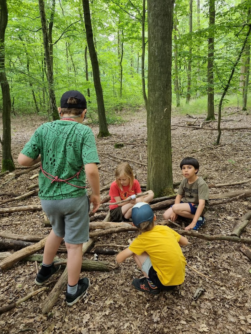 Podróżne Drzewa – Leśne Warsztaty – Rozwój Blisko Natury