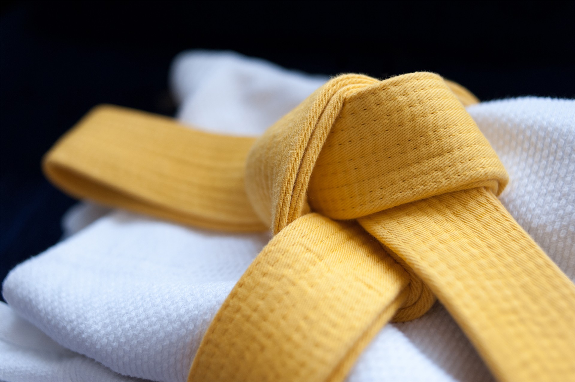 Klub Sportowy Judo Lisy