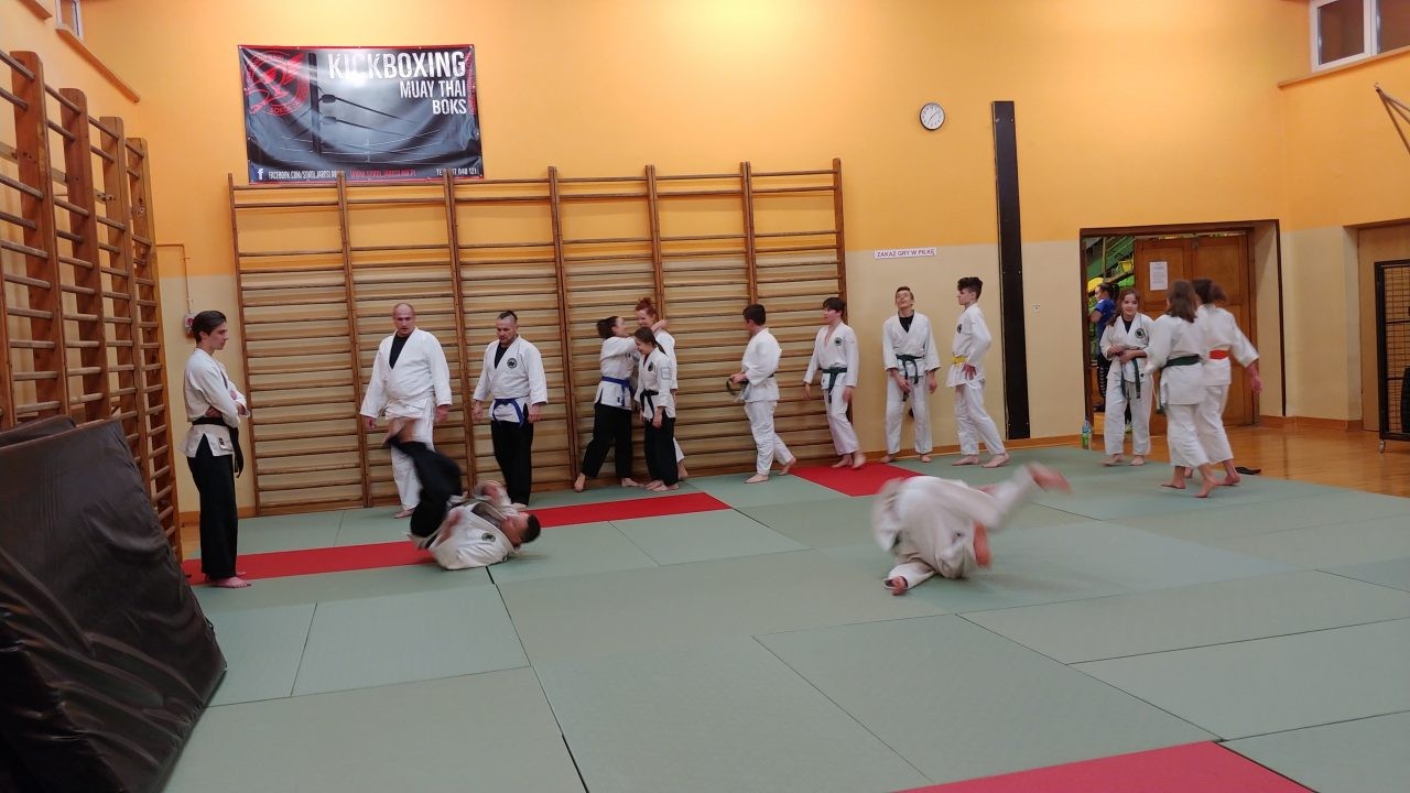 Autonomiczne Zrzeszenie Combat Aikido - zdjęcie 2