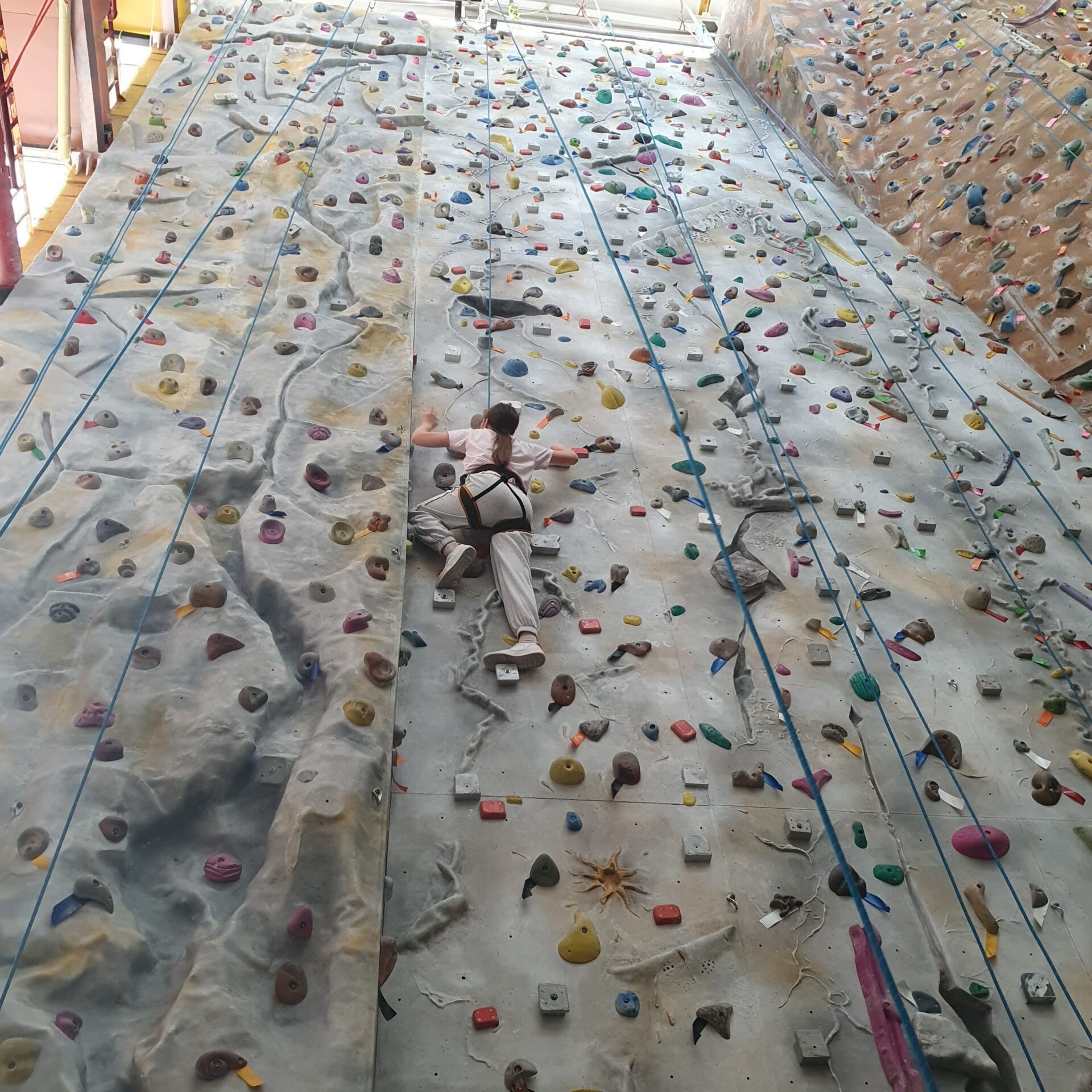 Elewator, Ściana Wspinaczkowa