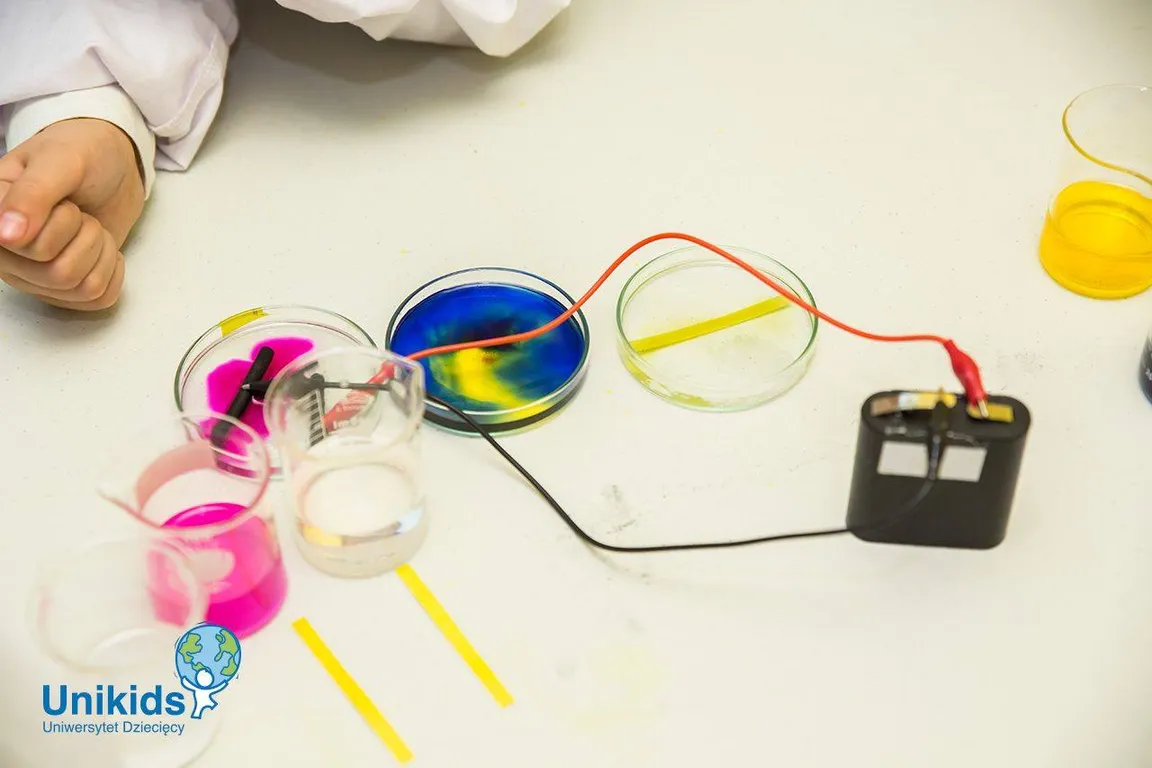 Uniwersytet Dziecięcy Unikids s.c.