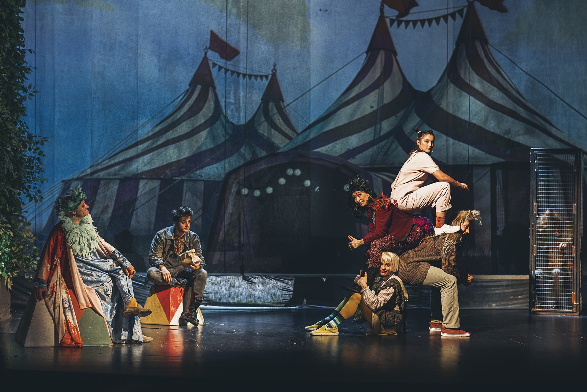 Teatralny Instytut Młodych (TIM) - zdjęcie 2