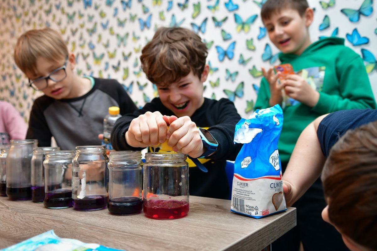 Siedlisko Kids - Szkoła języka angielskiego dla dzieci i młodzieży Luboń - zdjęcie 14