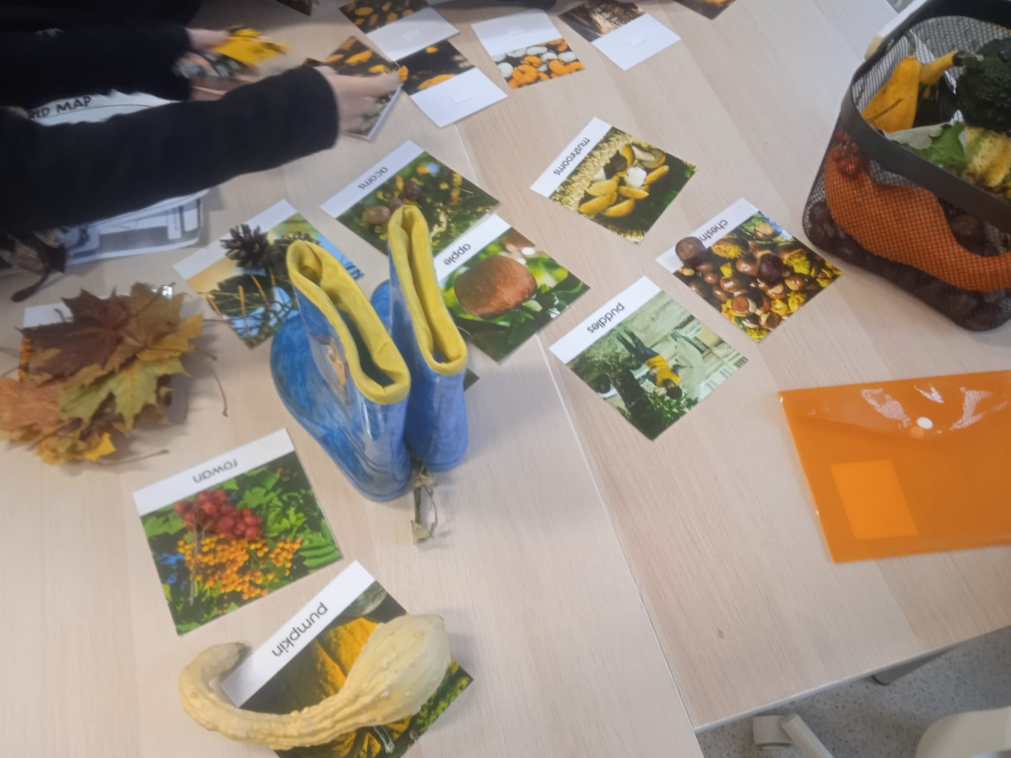 Centrum Edukacyjne WELCOME - zdjęcie 3