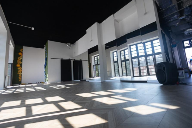 P2SL - Po Drugiej Stronie Lustra - studio tańca Alicja Łagosz