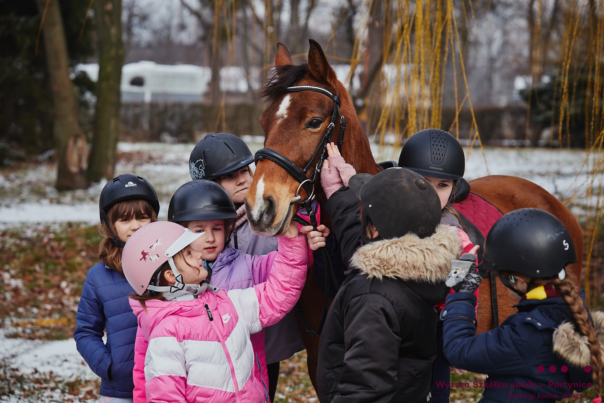 Wyższa Szkółka Jazdy | Tor Partynice