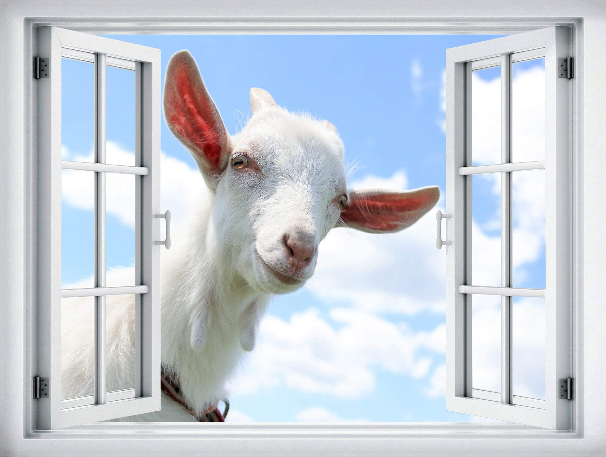 Dom Koziołka Lubelskiego