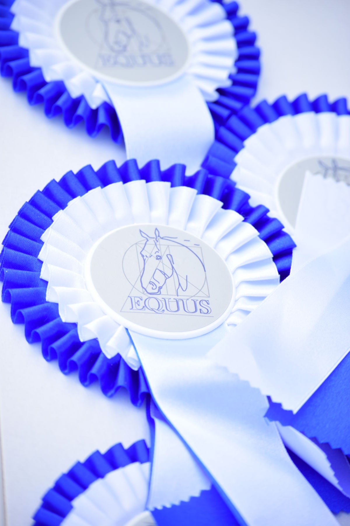 Horse farm in Upper Leśno