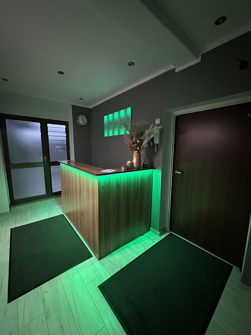 Studio Tańca Silesia