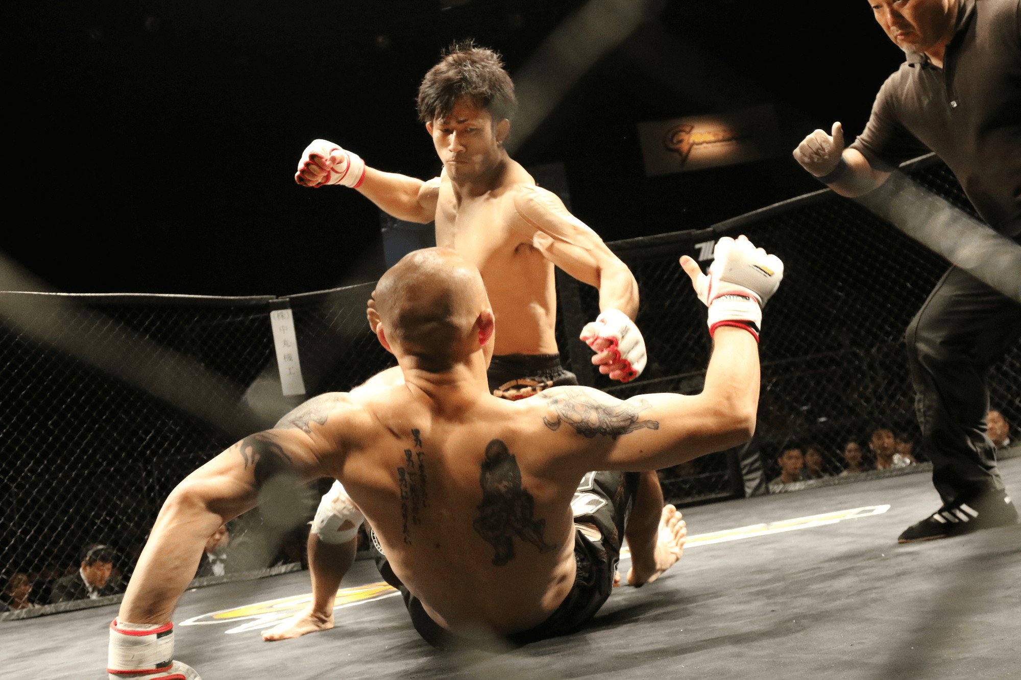 Klub Sportowy Kodokan - zdjęcie 3