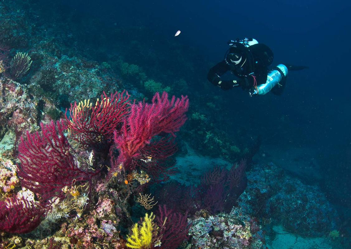 DiveSchool - szkoła nurkowania - zdjęcie 2