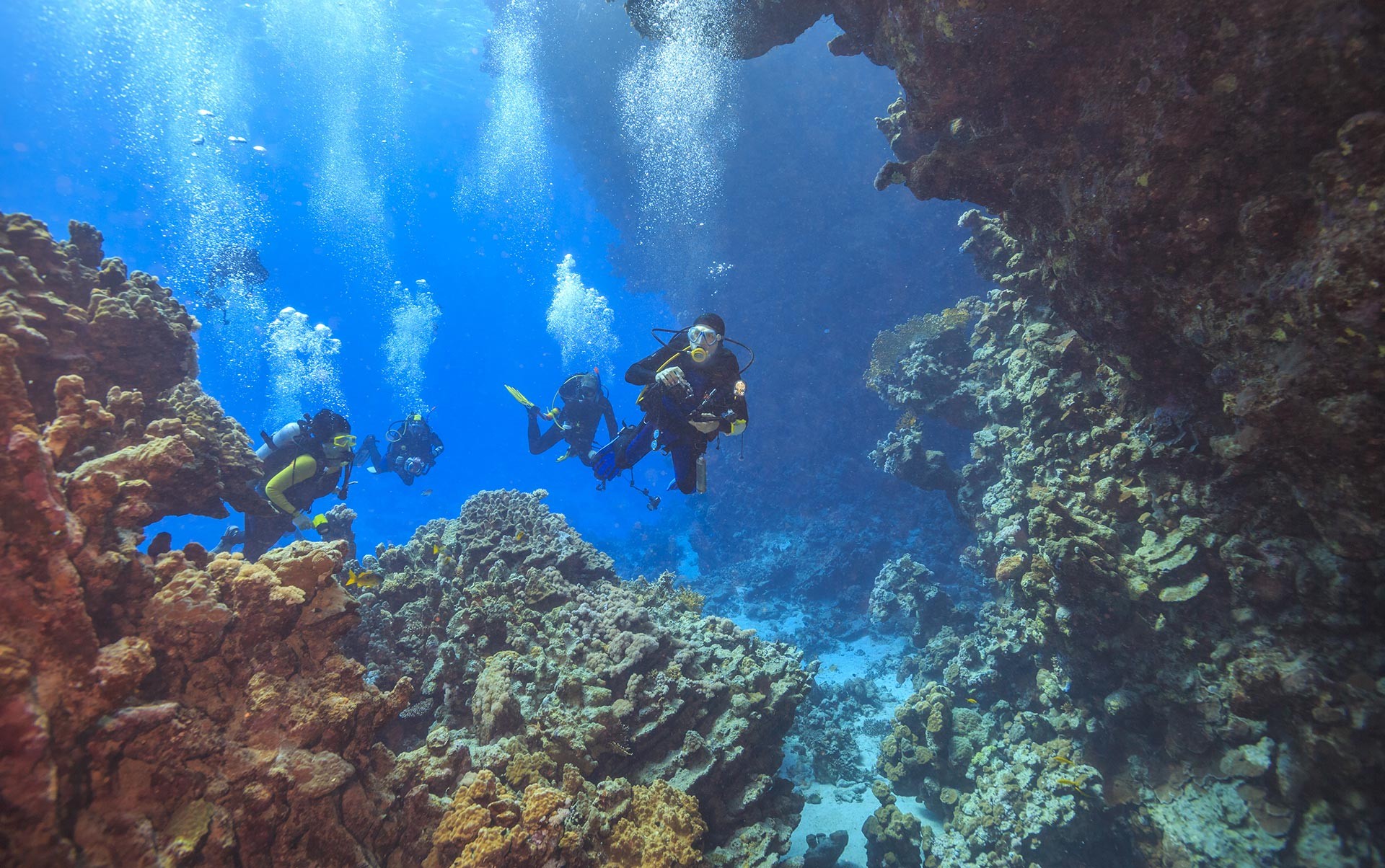 DiveSchool - szkoła nurkowania - zdjęcie 4