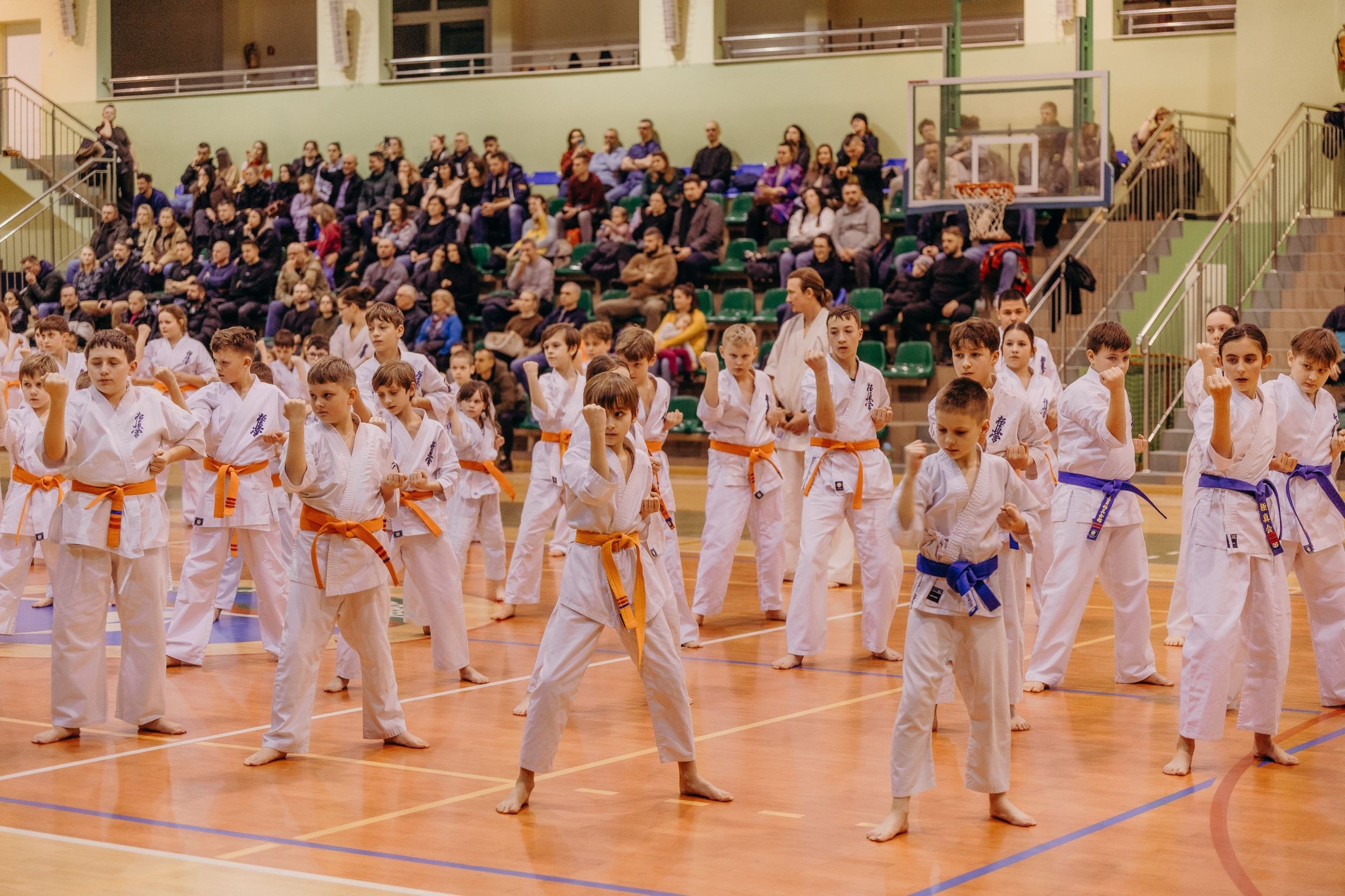 Bushido Kyokushin Karate Club - zdjęcie 7