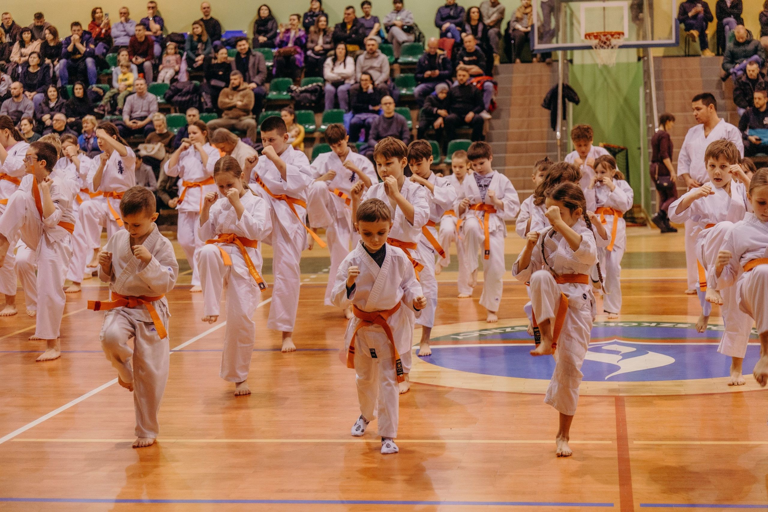 Bushido Kyokushin Karate Club - zdjęcie 5