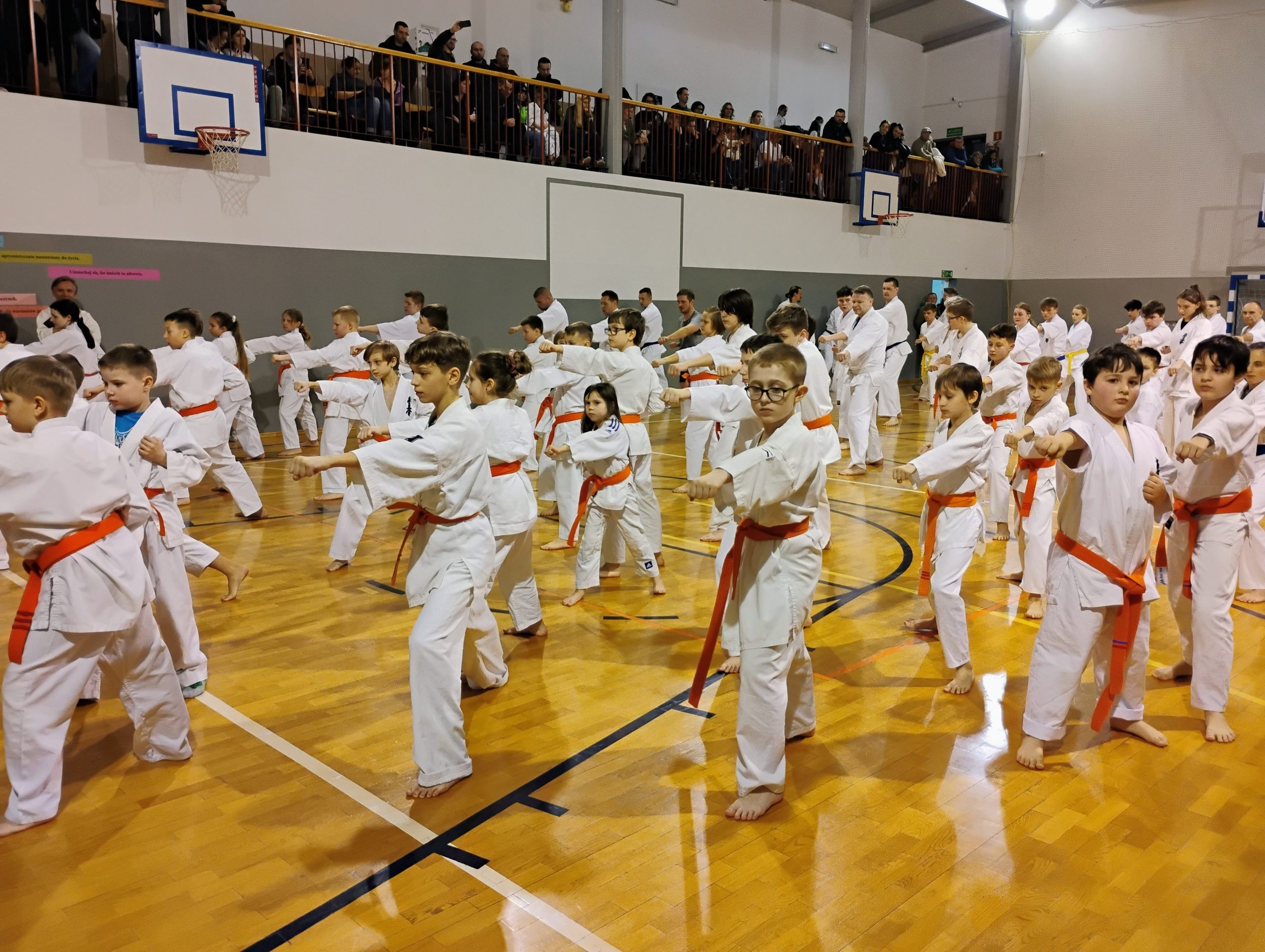 Bushido Kyokushin Karate Club - zdjęcie 2
