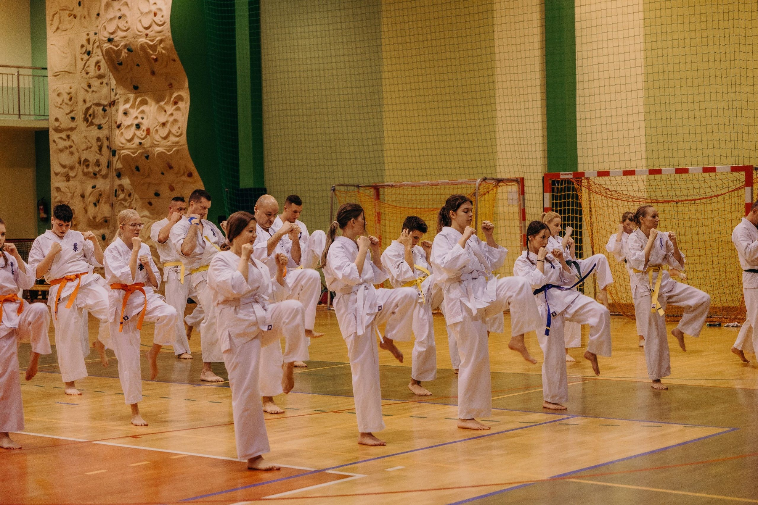 Bushido Kyokushin Karate Club - zdjęcie 6