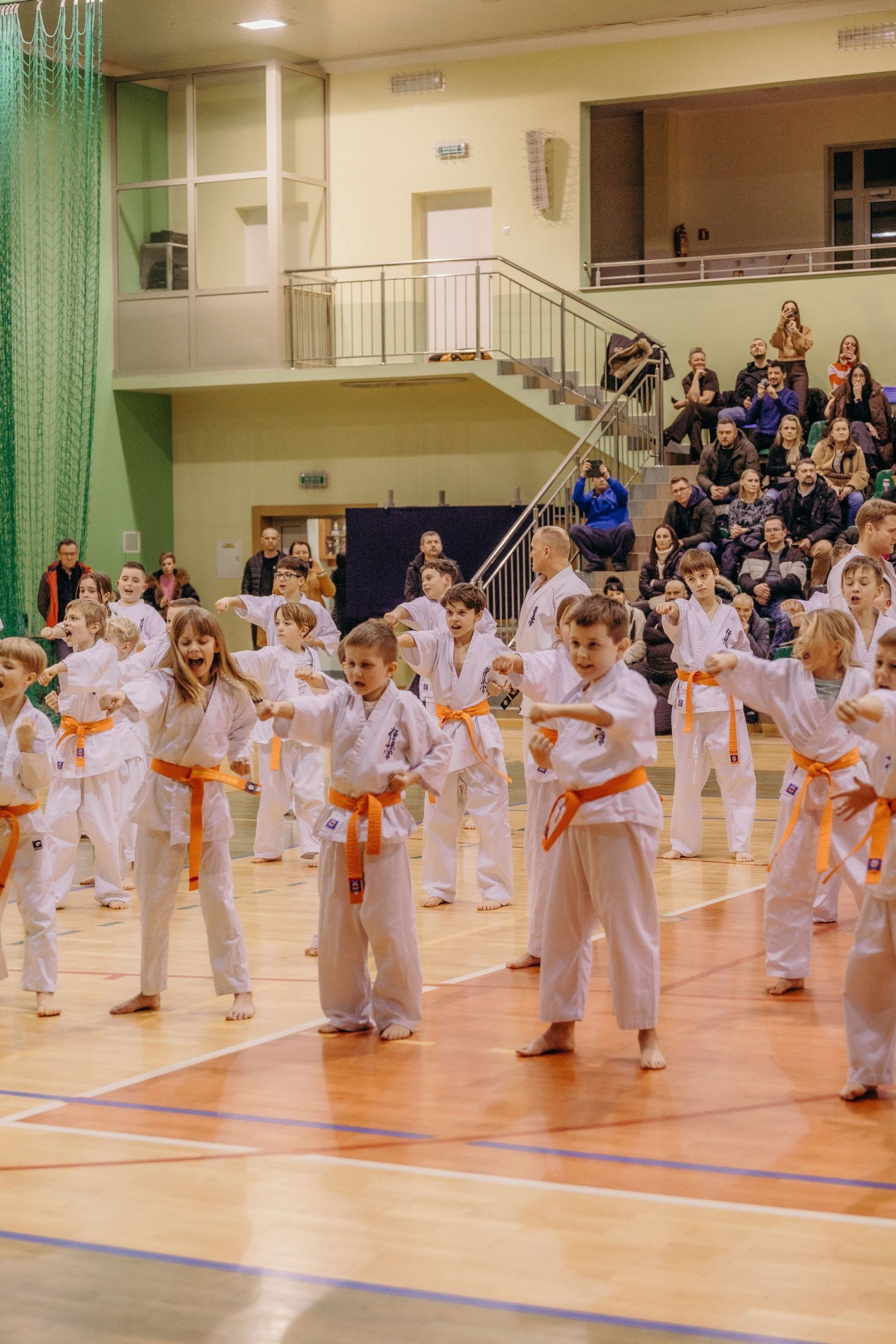 Bushido Kyokushin Karate Club