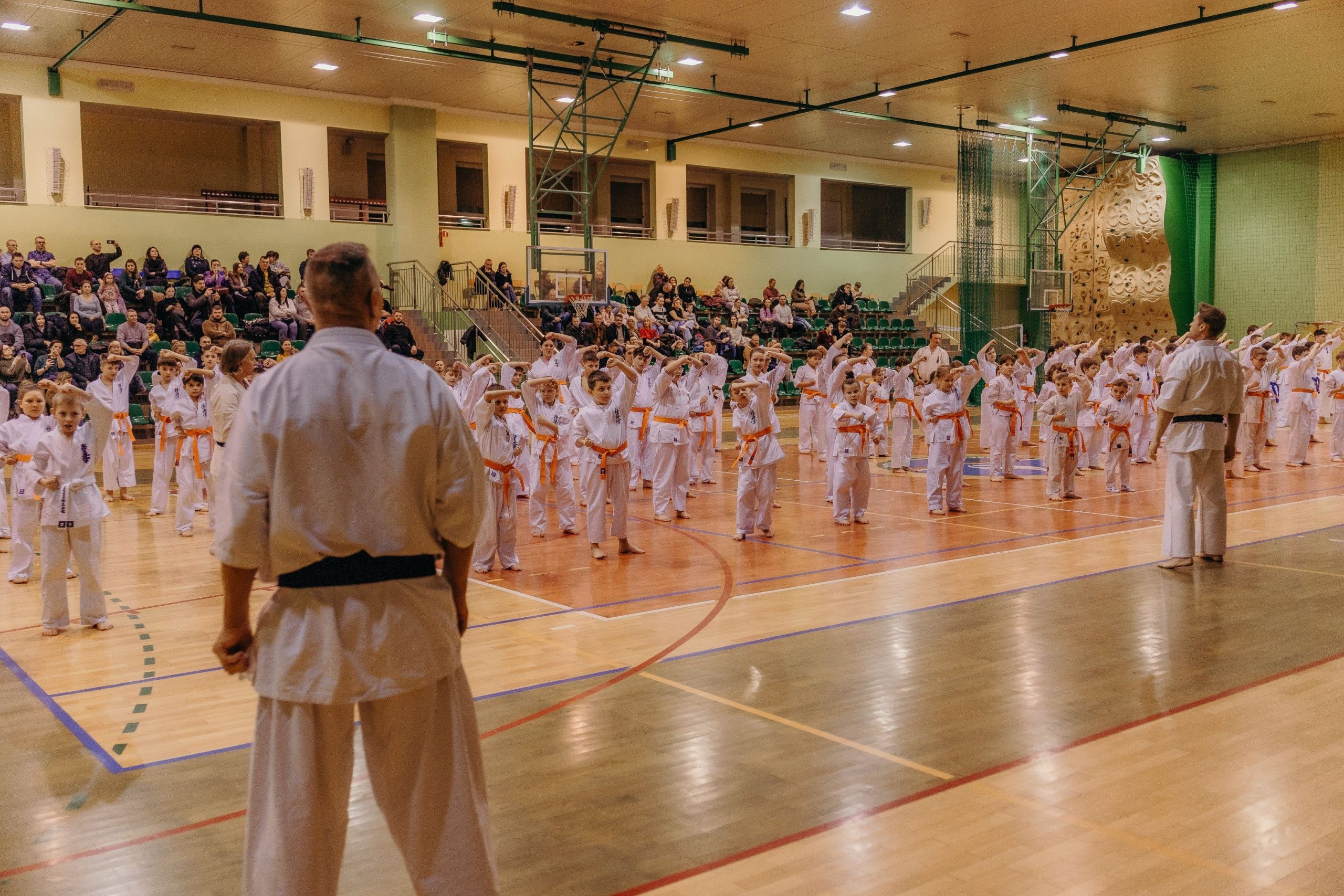 Bushido Kyokushin Karate Club - zdjęcie 4