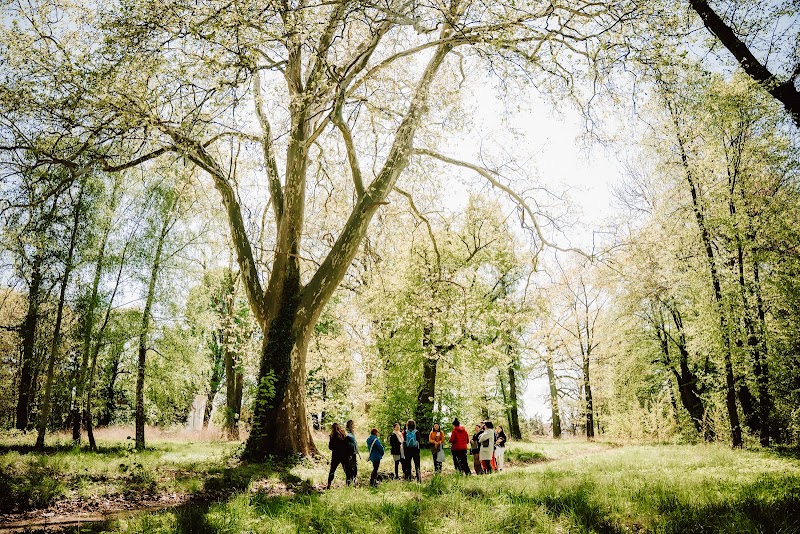 Kobalt Migrating Platform. Zajęcia plastyczne, programy edukacyjne i kulturalne, warsztaty artystyczne i murale